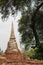 Old Stupa With Gray Sky And Tree