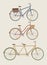 Old style colorful bicycle set