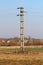 Old style double concrete electrical power line utility pole with dark brown ceramic insulators surrounded with uncut grass