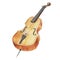 Old-style drawing of a large cello violin. Wooden bowed musical instrument with a black fingerboard. Hand painted watercolor illus