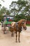 The old style horse cart at Pyin oo lwin