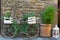 Old styled Bicycle in green with box of Mandevilla flowering plant parking outside building