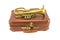 Old suitcase and vintage brass musical instrument
