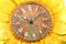 Old sunflower clock.