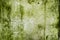 Old surface background green mold texture