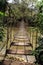 Old suspension bridge river tropical forest
