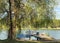 Old swings and wooden pier under large tree above lake water with forest on horizon at lake shore