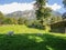 Old swiss farm house with sheeps in open-air museum ballenberg in switzerland