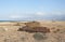 Old tank at sea cost of Socotra island