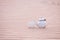 Old teapot and cup in sahara sand dune