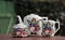 Old teapot and set on the garden table rural European scene