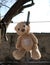 Old teddy bear hanging on a clothesline