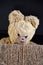 Old teddy bear sitting in sisal box