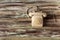 An old telephone on a wooden table