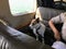 An old terrier dog seated in a water plane beside his owner ready for take off, in Vancouver