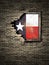 Old Texas flag in brick wall