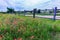 Old Texas Wooden Fence and Wildflowers