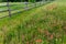 Old Texas Wooden Fence and Wildflowers