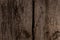 Old textured dark wood surface with cracks, knots, rusty nail. Fragment of fence or natural background of larch planks