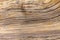 Old textured wood grain background