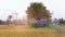 Old thai huts with the golden paddy field in Thailand.