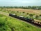 Old Thai Steam locomotive drives on the railway pass through the rice field