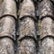 Old tiles with lichens texture. Old roof tiles on old house.