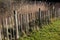 Old Timber and Wire Paling Fence on a Country Path in Winter