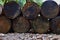 Old tin barrels from the oil. Background, abstract pattern. Colorful cans on the street. Old vintage cask. Rusted oil tins. Cans