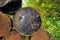 Old tin barrels from the oil. Background, abstract pattern. Colorful cans on the street. Old vintage cask. Rusted oil tins. Cans