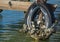 Old Tire Covered with Barnacles