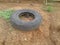 The Old Tire in garden two years a go