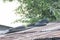 Old tire is placed on a zinc roof to prevent zinc from blown away by the storm.