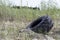 An old tire sticks out of the ground in an overgrown meadow