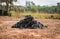 Old tires on the grass - industrial landfill for the processing of waste tires and rubber tyres pile of old tires and wheels for