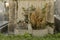 Old tombstone adorned with a large cross with Christ, dried plants and a funerary plaque