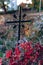 Old tombstones ruin in autmn forest, cemetery in evening, selective focus, vertical photo