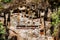 Old torajan burial site in Lemo, Tana Toraja. The cemetery with coffins placed in caves. Rantapao, Sulawesi, Indonesia