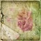 Old torn crumpled paper with hand drawn rose