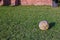 An old and torn soccer ball in a yard.