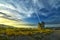 old tower ruin near starigrad croatia at sunrise with chemtrail