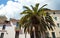 The old town in the historic French city of Nimes.   Old town houses and a palm tree