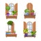 Old town vector window wooden vintage frames collection with shutters, sill, glass, house plants.