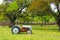 An old tractor in a field with flowers