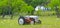 An old tractor in a field with flowers