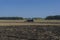 Old tractor ploughs a field after harvesting of the grain 3