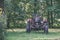 old tractor with rubber tires in green countryside yard in green summer - vintage retro film look