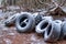 Old tractor tires dumped in the forest