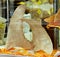 Old Tradition Culture China Macau Street Shark Fin Shop Chinese Dried Fish Maw Cuisine Delicacy Authentic Ethnic Food Seafood