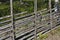 Old traditional farmer fence made of birch